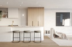 Mixed-Use Development